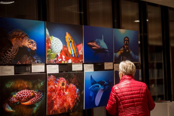 OBRAZI OCEANA – MED PORTRETI PREBIVALCEV GLOBIN