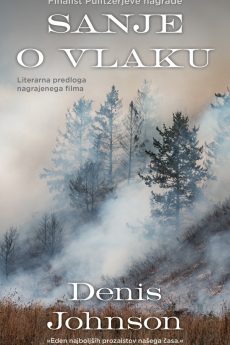 Naslovnica knjige: Sanje o vlaku