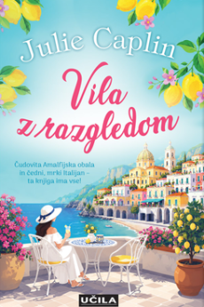 Naslovnica knjige: Vila z razgledom